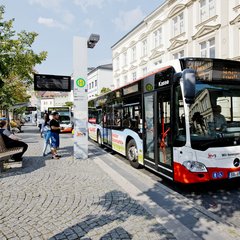 Bus am ZOB