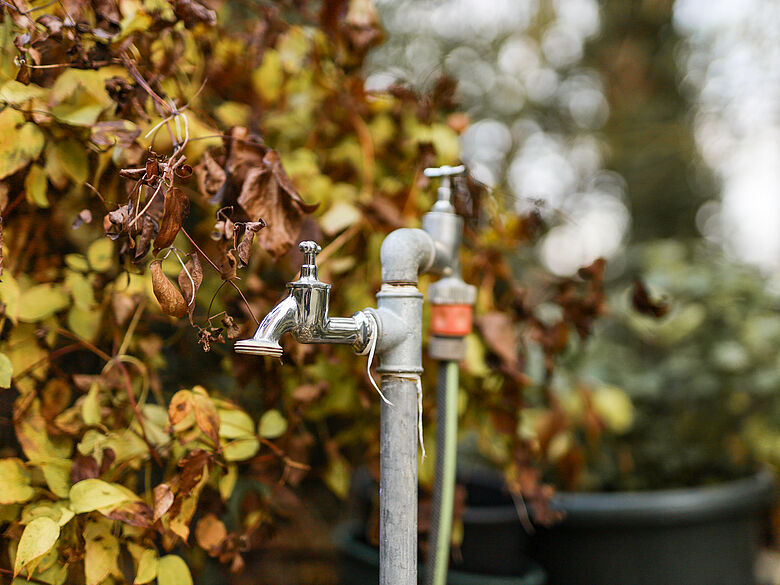 Wasserhahn im Garten