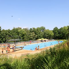 Becken mit Sprungturm und Grünanlagen Freibad Gaustadt in Bamberg