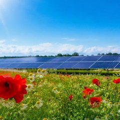 Bürgerbeteiligung an der PV-Anlage in der Südflur: Alle Sonnenscheine sind ausverkauft 