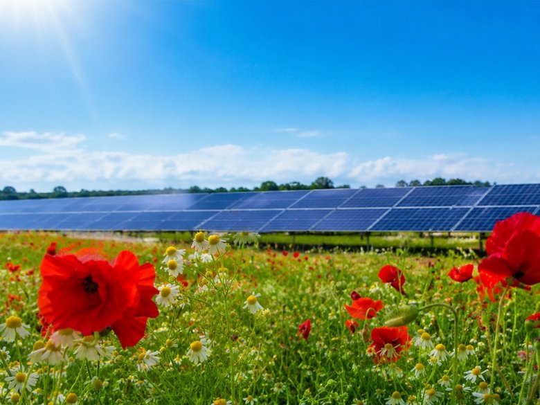 Bürgerbeteiligung an der PV-Anlage in der Südflur: Alle Sonnenscheine sind ausverkauft Bürgerbeteiligung an der PV-Anlage in der Südflur: Alle Sonnenscheine sind ausverkauft