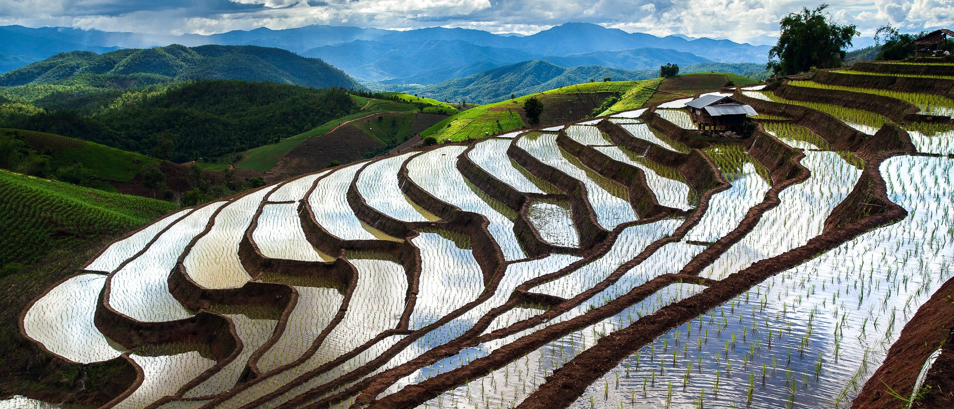 Reisterrassen in Thailand