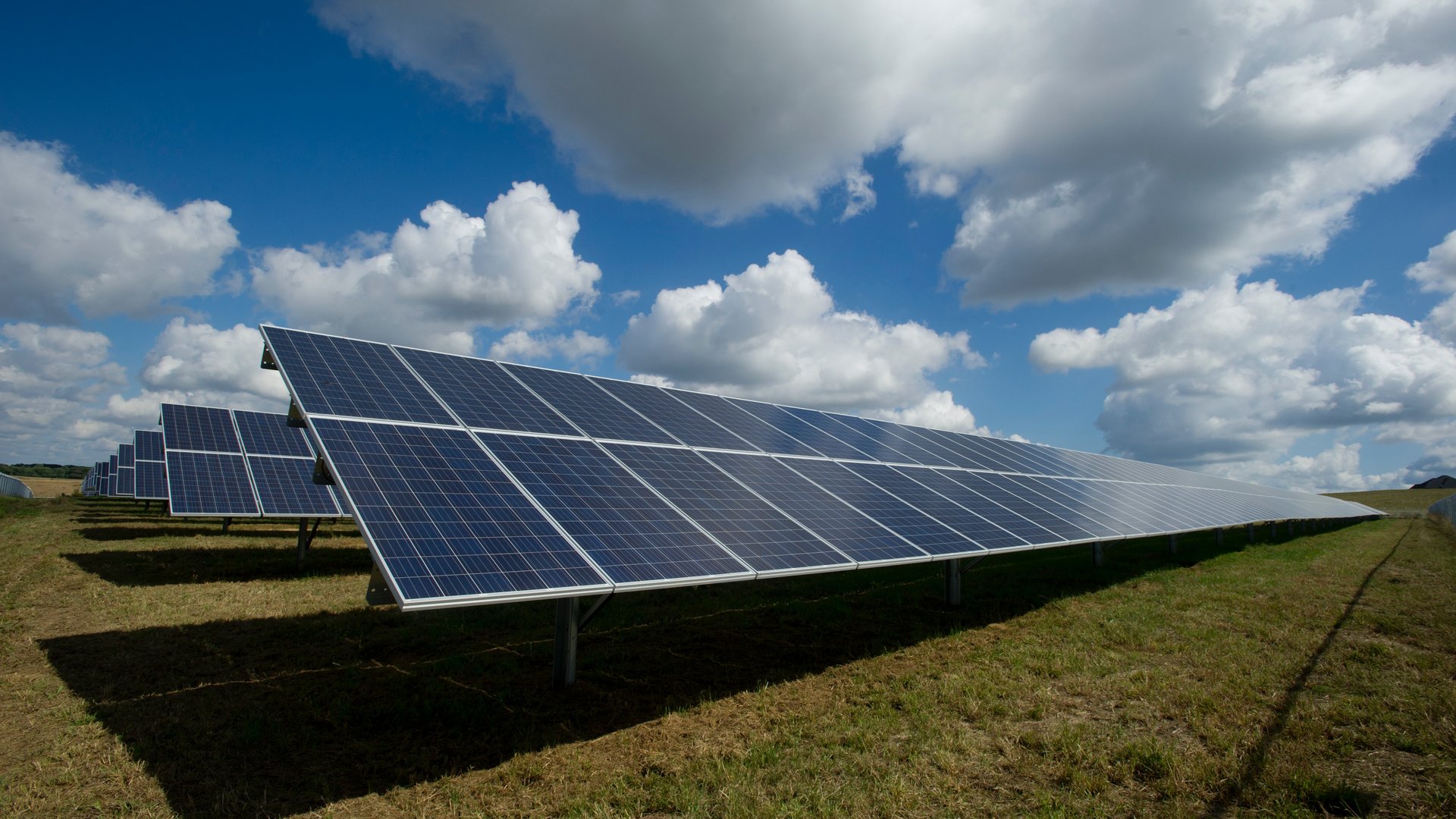 Solarmodule auf Feld Solarmodule auf Feld