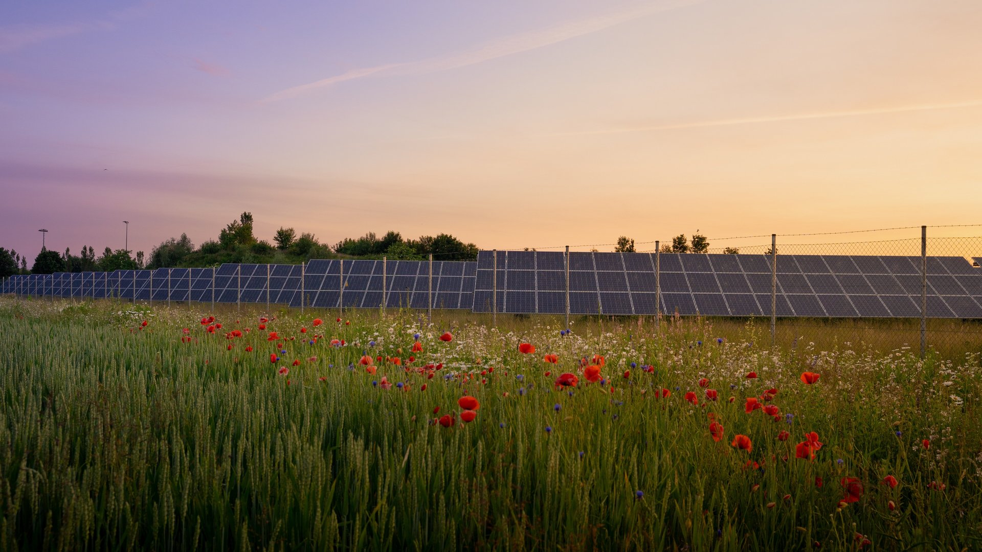 Photovoltaikanlage auf Wiese Photovoltaikanlage auf Wiese in der Dämmerung