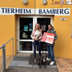 Erlös des Hundebadetags geht an den Tierschutzverein Bamberg – Termin für nächstes Jahr steht fest