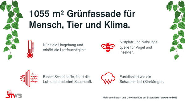 Schild über Grünfassade