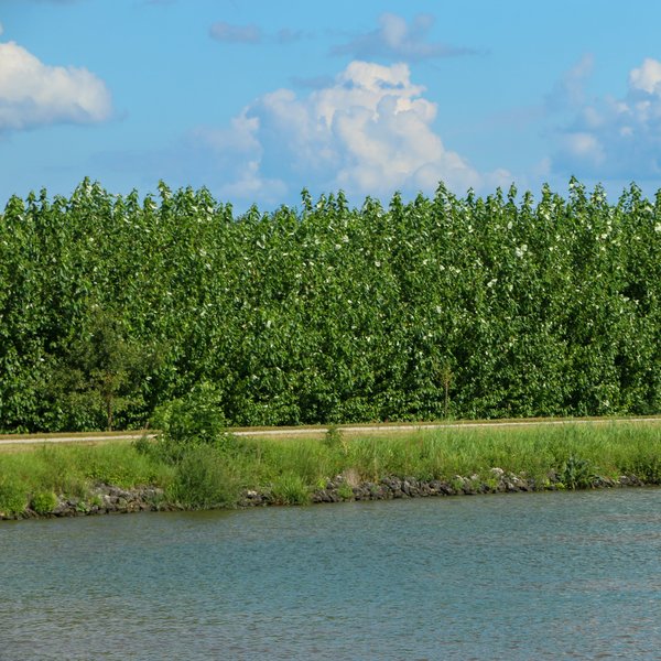 Wasserschutzgebiet Bamberg