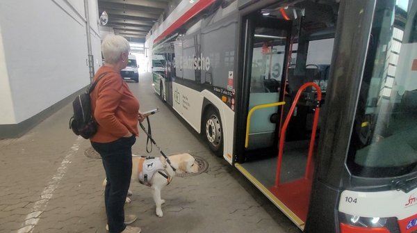 Frau mit Blindenhund steht vor einem Bus der STWB