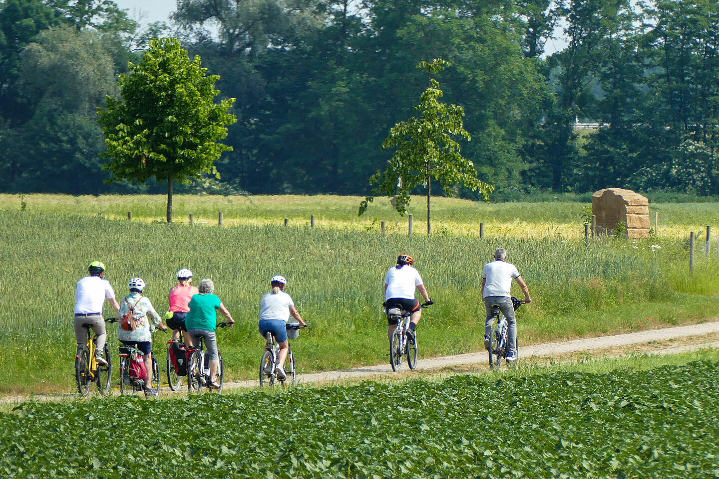 Radfahrer im Wasserschutzgebiet Bamberg