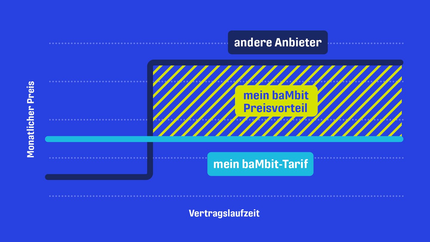 Grafk zum konstanten Preisverlauf bei baMbit