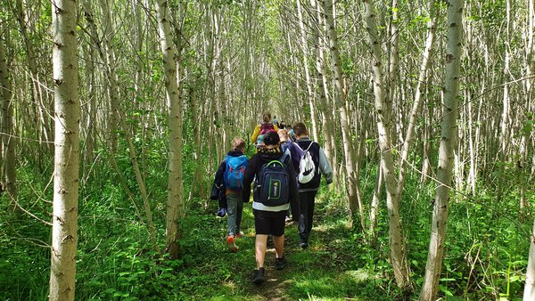 Schulklasse im Pappelwald