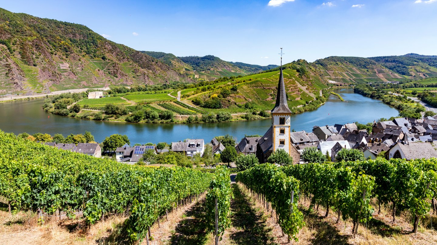 Moselschleife mit Weinbergen und Ortschaft