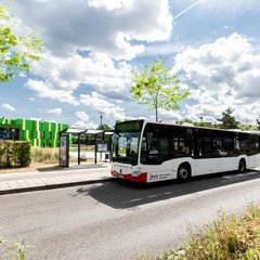 Bus vor Bambados