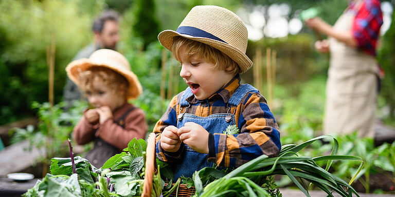 Kinder im Garten am Gemüsebeet