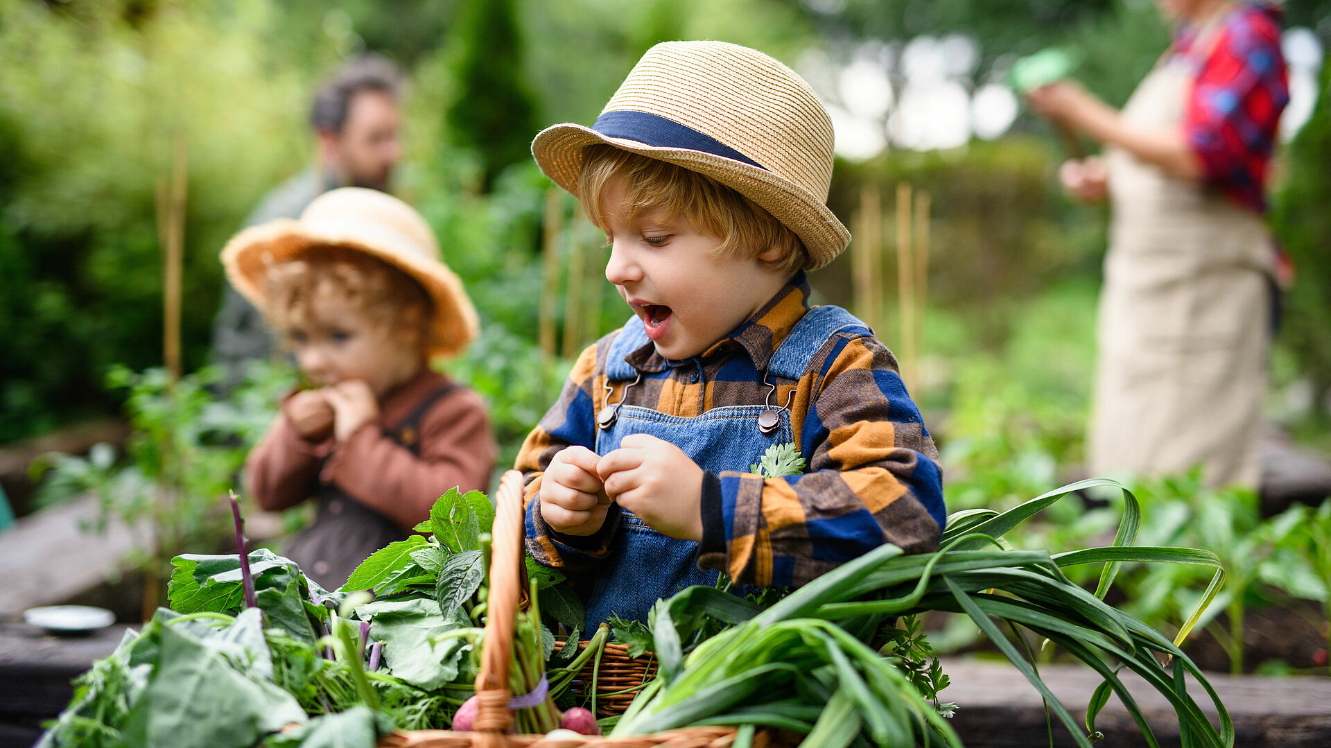 Kinder im Garten am Gemüsebeet
