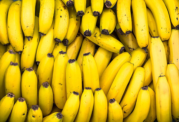 Gelbe Bananen nebeneinander