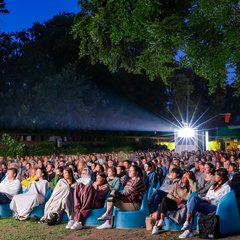 Zuschauer am Abend beim Bamberger Kinosommer in der Hainbadestelle