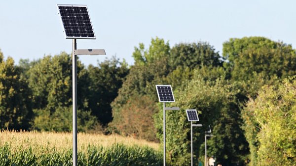 Solarleuchten in der Natur